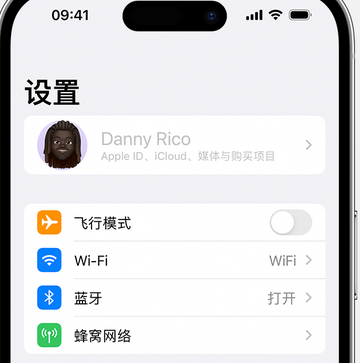 北关appleID维修服务iPhone设置中Apple ID显示为灰色无法使用 