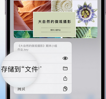 北关apple维修中心分享iPhone文件应用中存储和找到下载文件