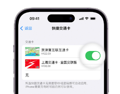 北关apple维修点分享iPhone上更换Apple Pay快捷交通卡手绘卡面 