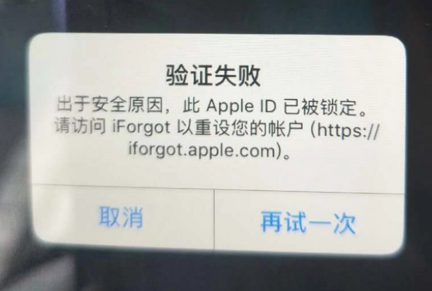 北关iPhone维修分享iPhone上正常登录或使用AppleID怎么办 