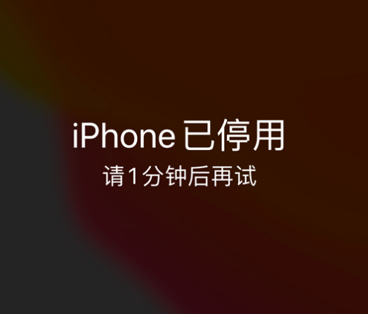 北关苹果手机维修分享:iPhone 显示“不可用”或“已停用”怎么办？还能保留数据吗？ 