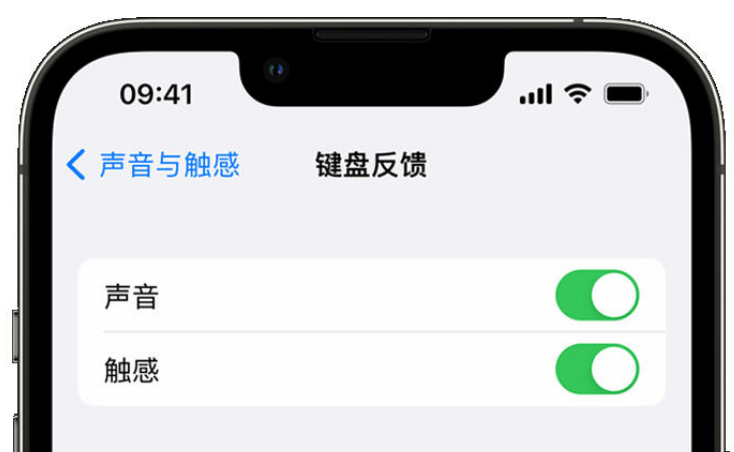 北关苹果手机维修分享iPhone 14触感键盘使用方法 