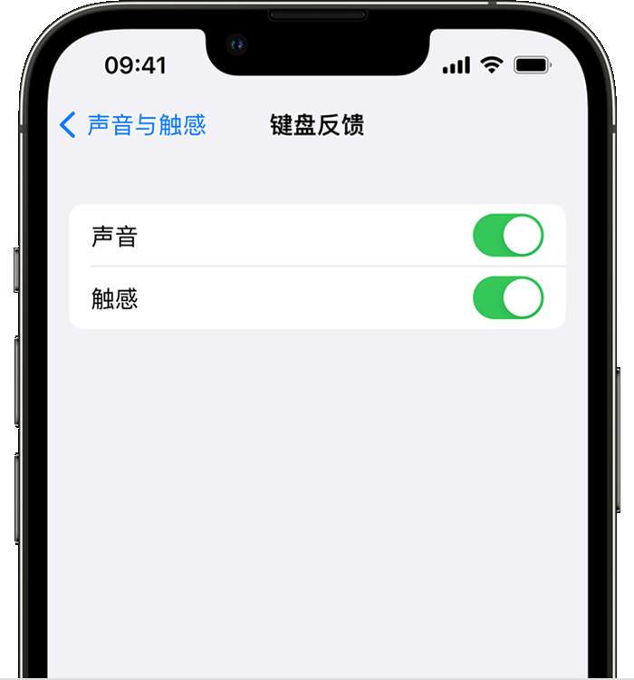 北关苹果14维修店分享如何在 iPhone 14 机型中使用触感键盘 