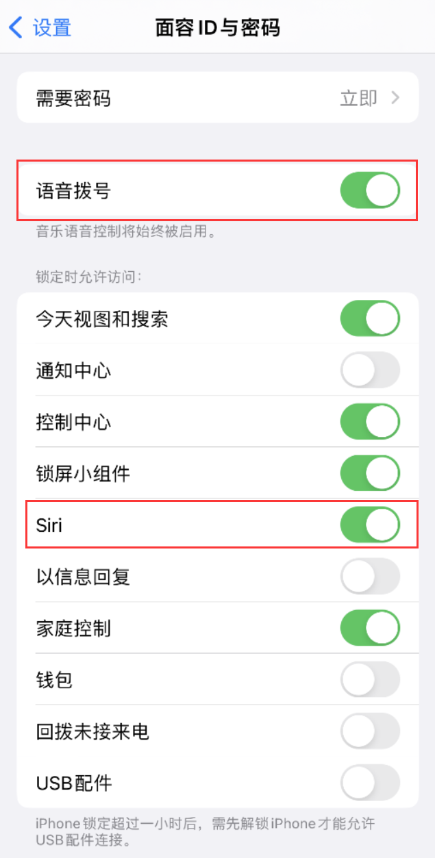 北关苹果维修网点分享不解锁 iPhone 的情况下通过 Siri 拨打电话的方法 