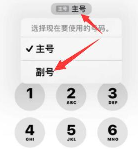 北关苹果14维修店分享iPhone 14 Pro Max使用副卡打电话的方法 