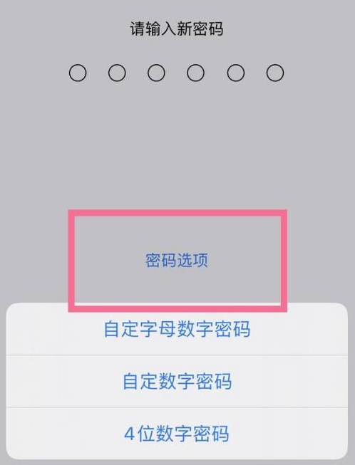 北关苹果14维修分享iPhone 14plus设置密码的方法 