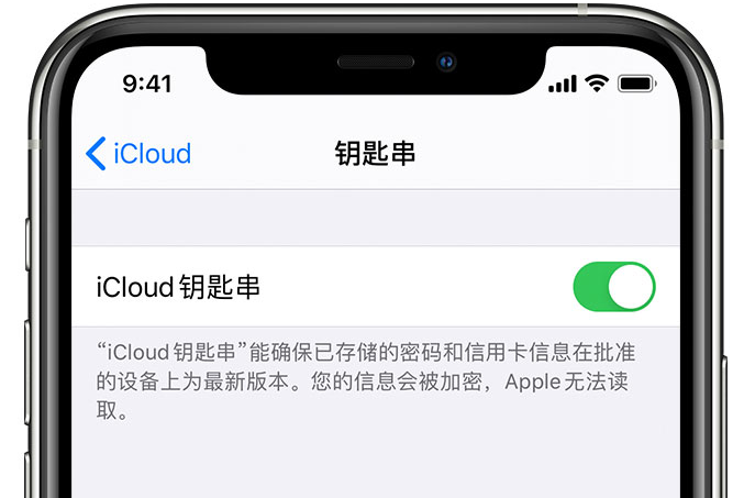 北关苹果手机维修分享在 iPhone 上开启 iCloud 钥匙串之后会储存哪些信息 