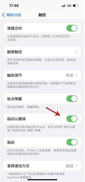 北关苹果手机维修分享iPhone手机如何设置摇一摇删除文字 